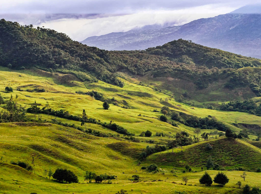 Peru Organic del Norte