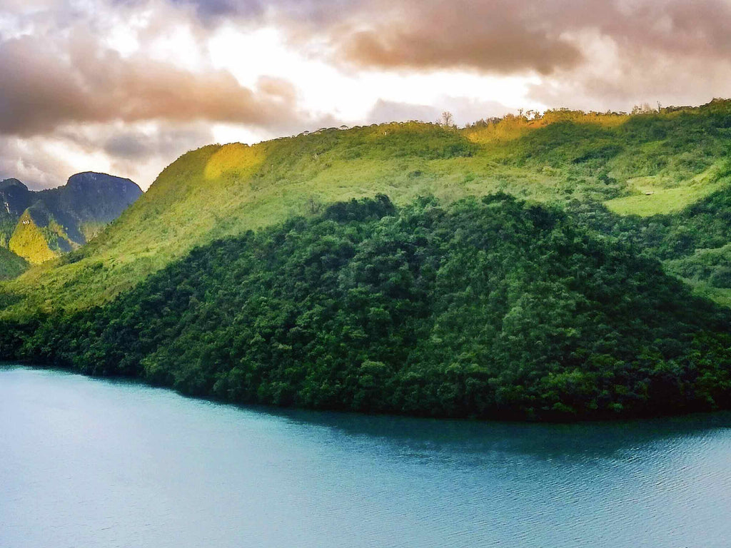 Guatemala Huehuetenango—July Limited Release