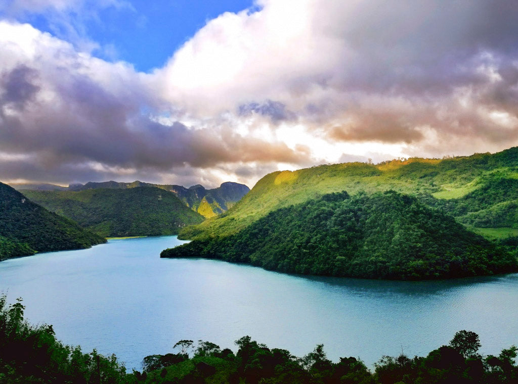 Guatemala Huehuetenango - April's Limited Release Coffee