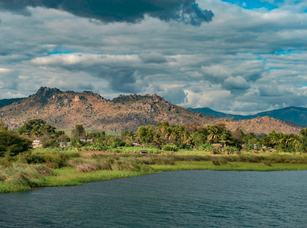 MALAWI NGAPANI ESTATE - SMALL BATCH, SINGLE ORIGIN
