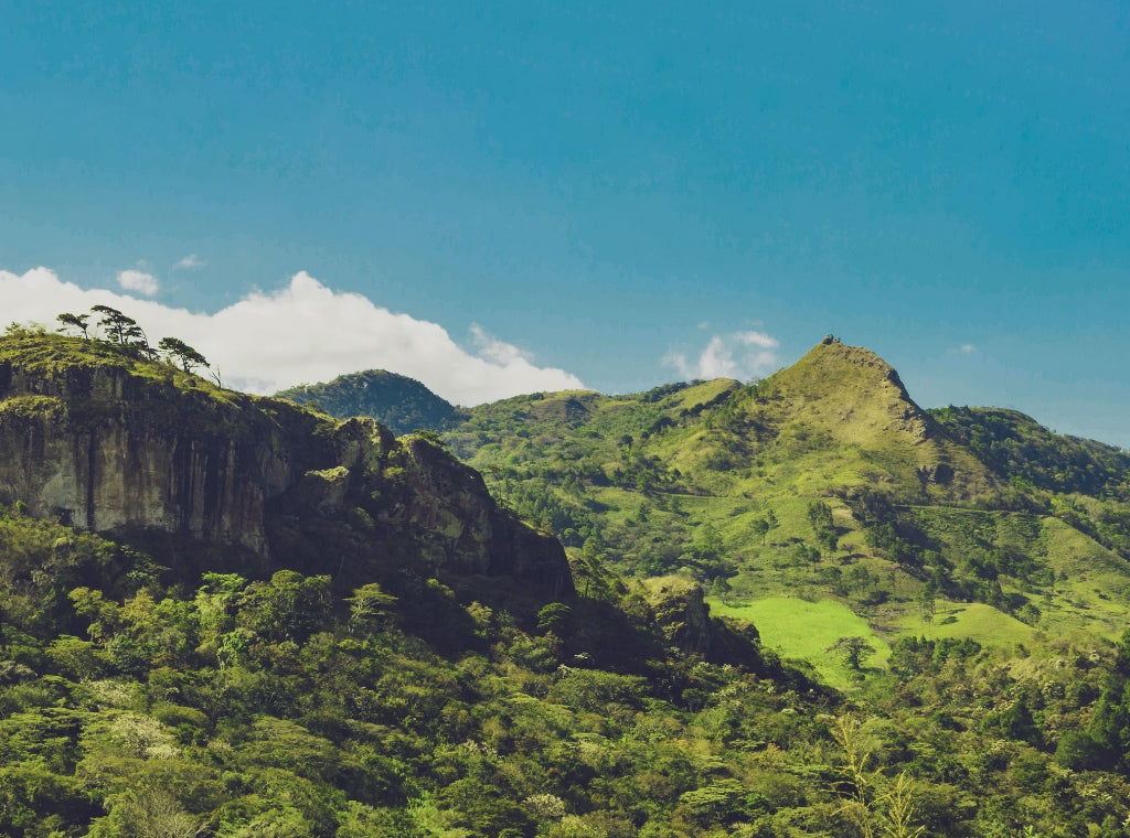 NICARAGUA CABO AZUL - DECEMBER'S SMALL BATCH ROAST