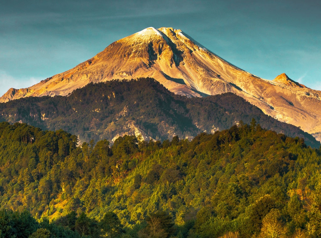 HUATUSCO MEXICO MICROLOT—SUBSCRIBER EXCLUSIVE