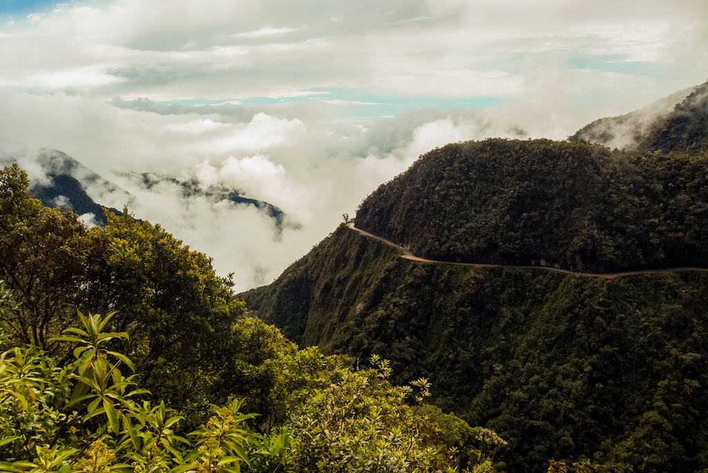 February Spotlight: Bolivia Yungas Valley