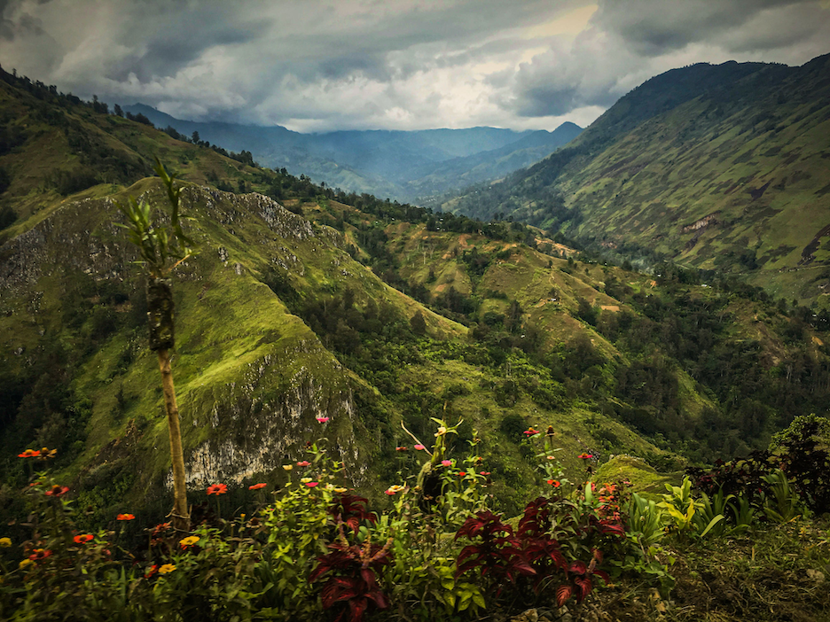 January Spotlight: Papua New Guinea Bunum-Wo