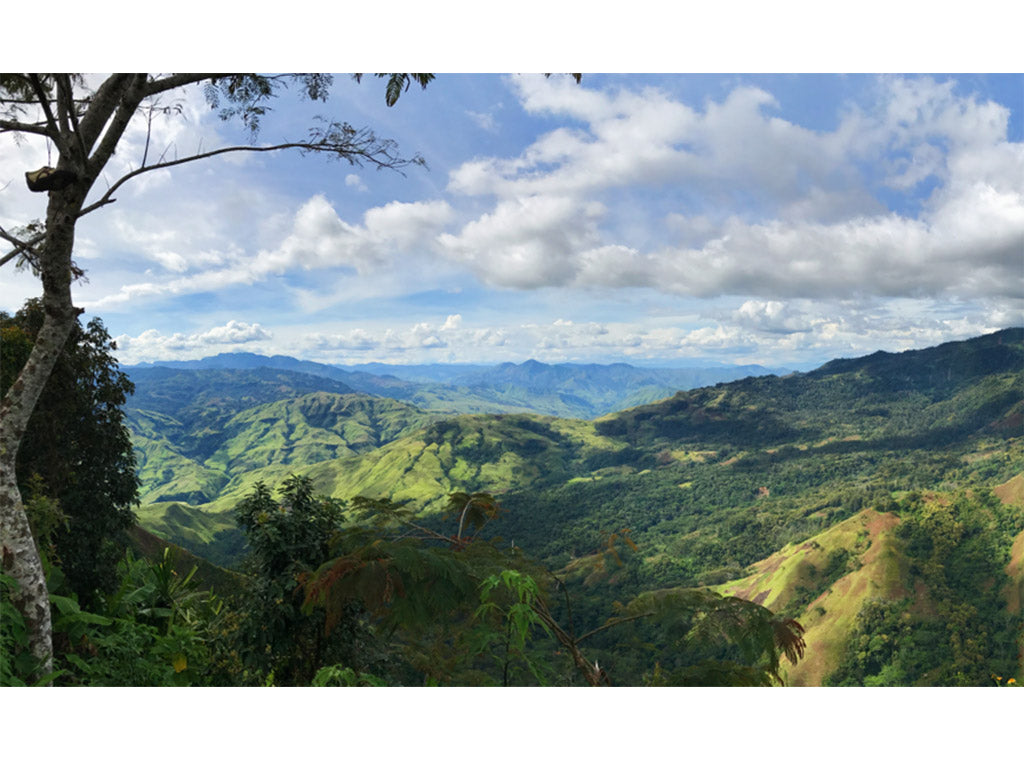 Butterfly School at Bunum-Wo Estate