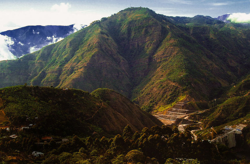 Costa Rica Hacienda La Minita —June Limited Release