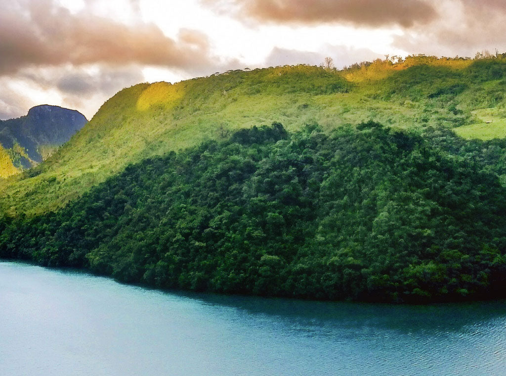 Guatemala Huehuetenango Organic