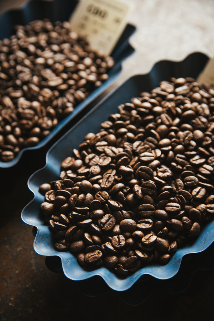 Down to the Grind: How to Make the Perfect Cup of Coffee
