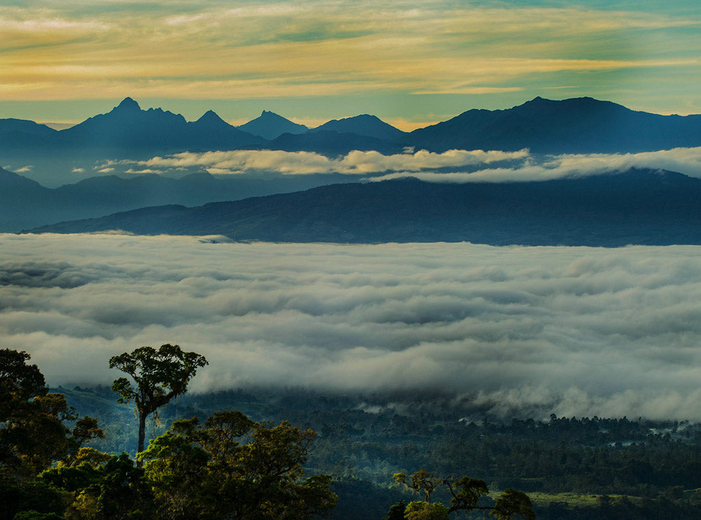Papua New Guinea Wahgi Valley