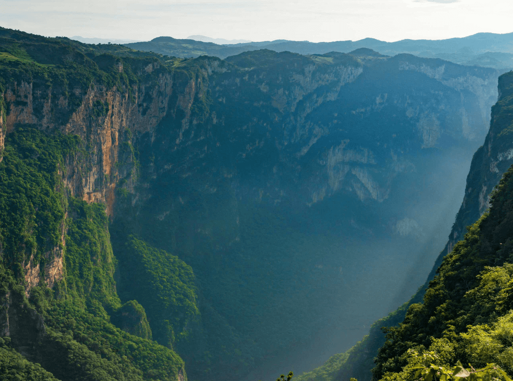 Mexico Chiapas Altura Organic