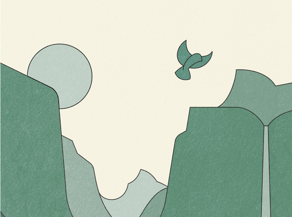 Where Habitat & Coffee Converge: World Migratory Bird Day