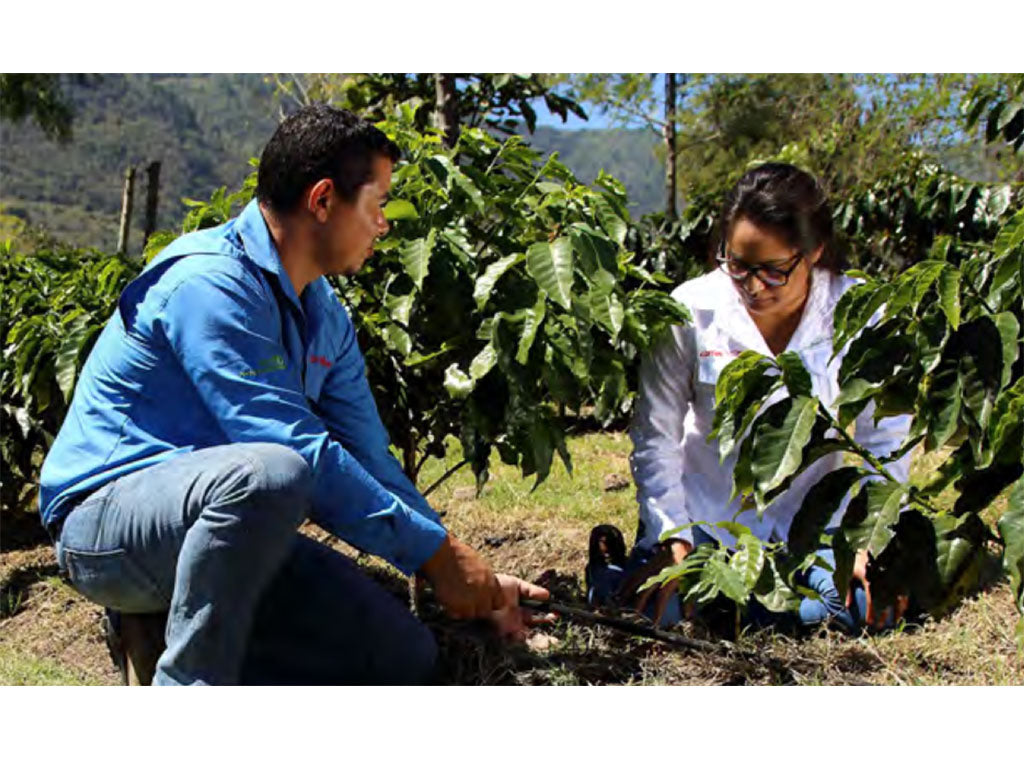 Climate Resilience Training for Young Farmers