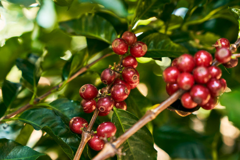 Earth Month is Every Month