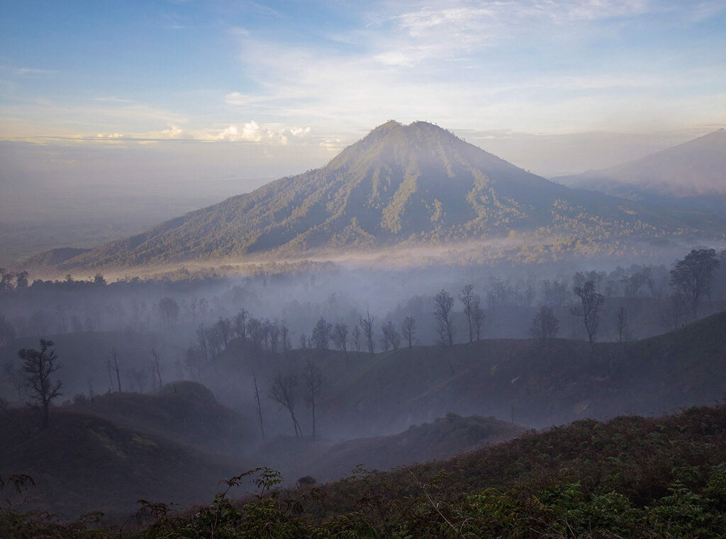 Roasting in June: Java Kayumas Village