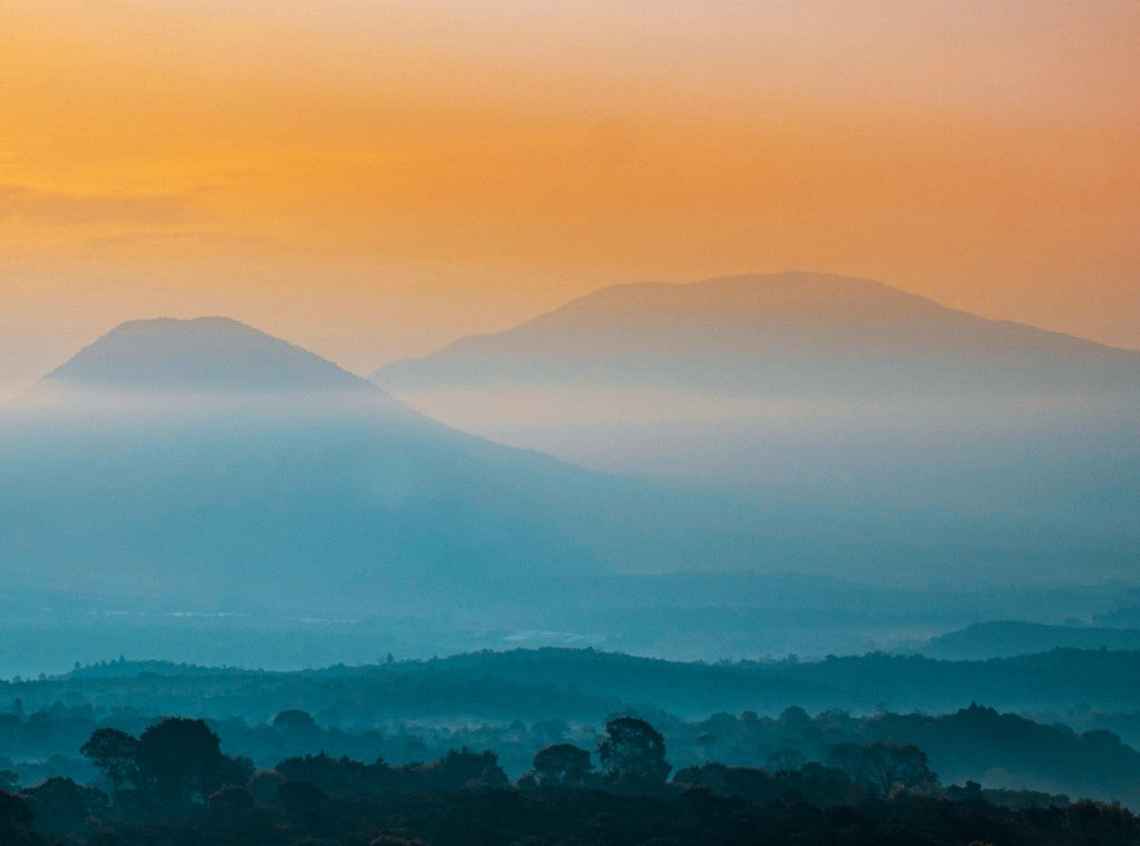 EL SALVADOR SICINIAPA ESTATE