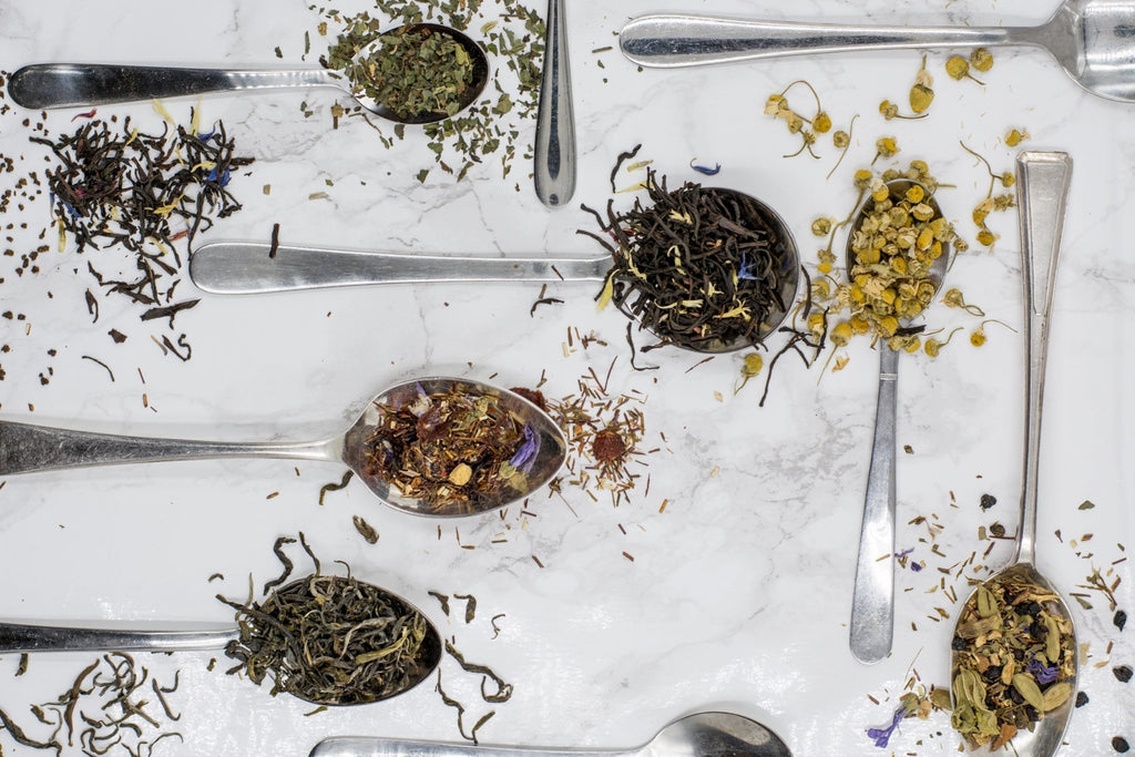 What are the Different Types of Tea and How Are They Made?