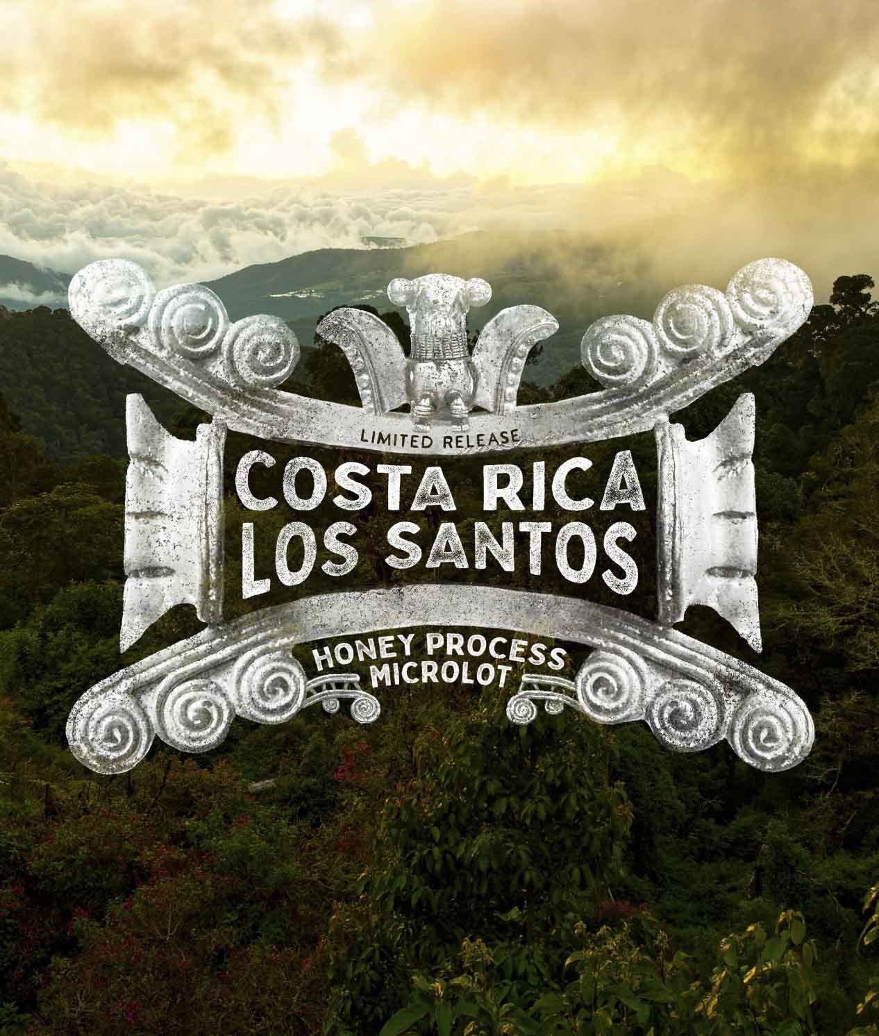 Costa Rica Los Santos Honey Process Dark Roast