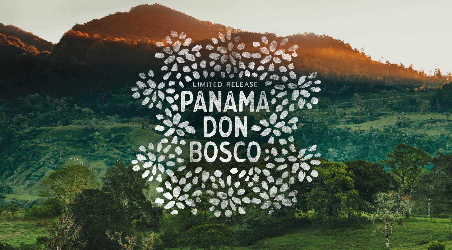 Panama Don Bosco floral logo over a sunrise on a treed hill