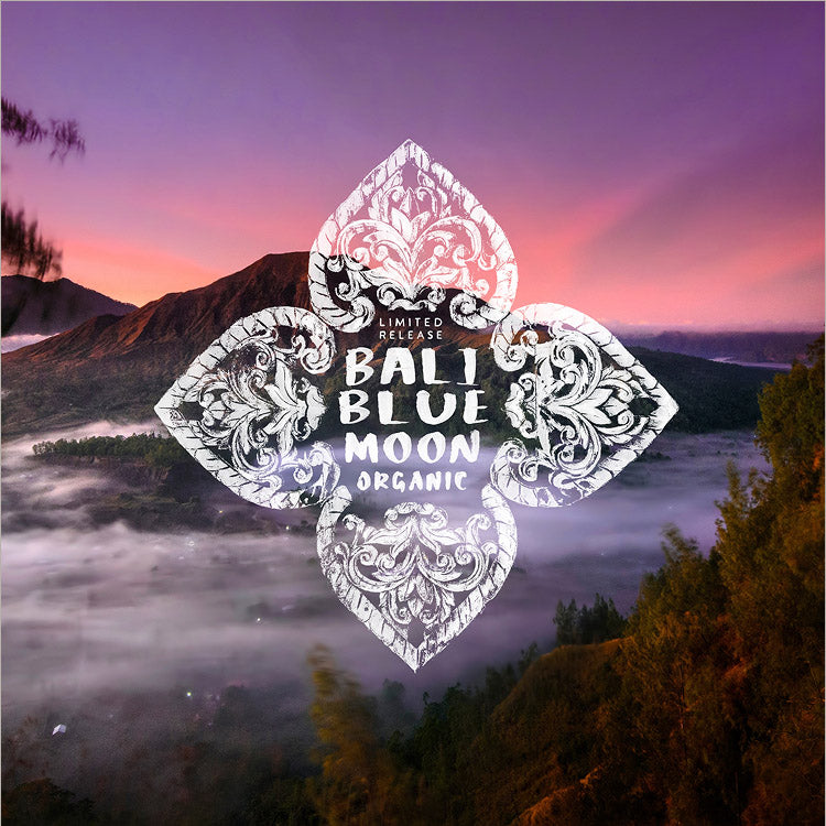 Roasting in December