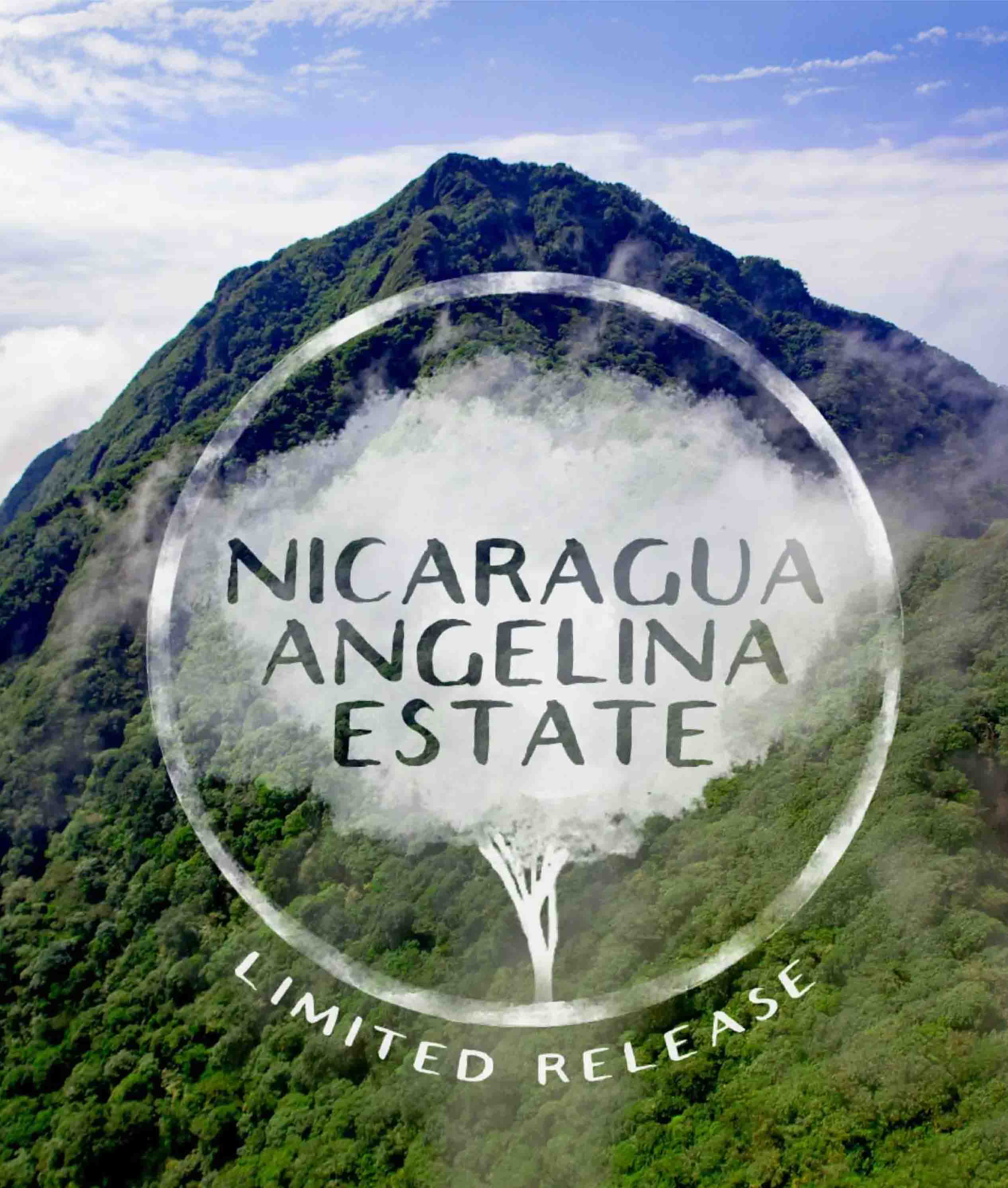 Mountainous landscape with 'Nicaragua Angelina Estate' text overlay