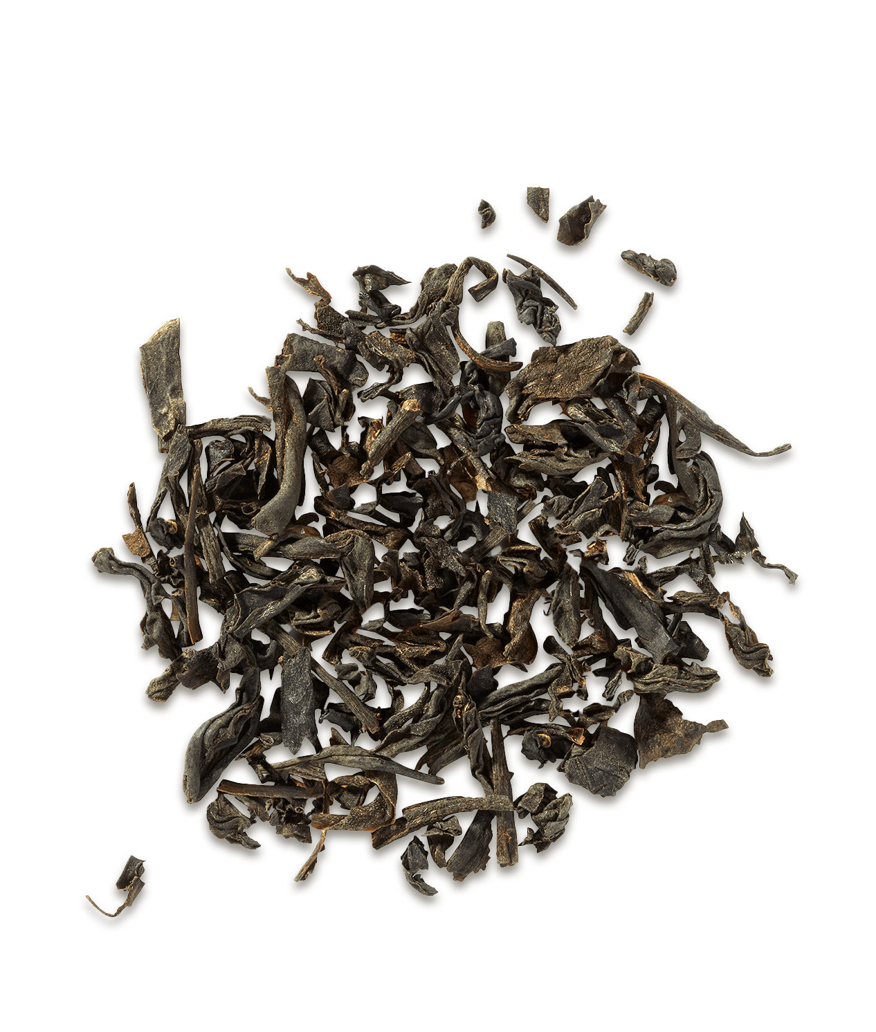Dry black tea leaves on a white background