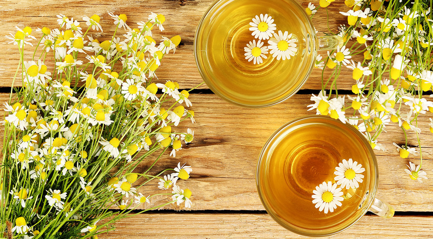 Mighty Leaf Chamomile Citrus Tea | Free Shipping Over $49