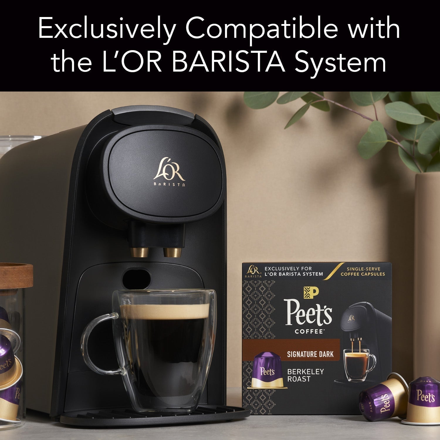 Peet's Berkeley Coffee Capsules | Peet's Coffee