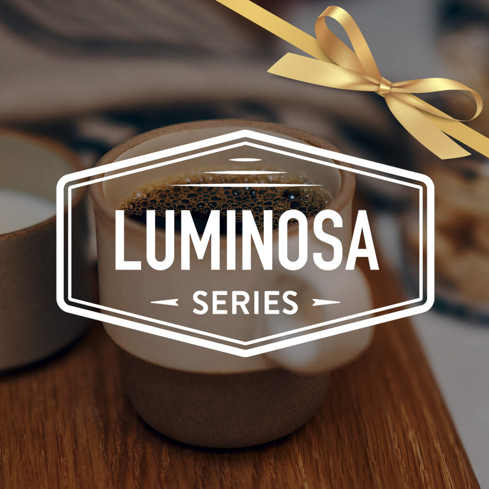 Luminous object with 'Luminosa Series' label on a wooden surface, blurred background