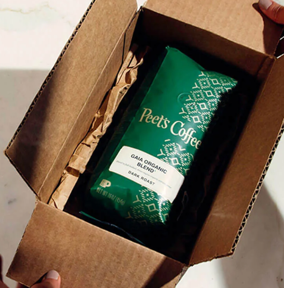 Free Shipping on<br> Orders $49+