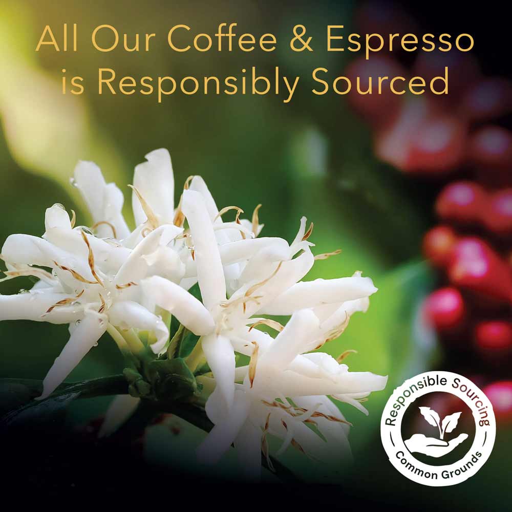 L'OR Forza Espresso Capsules | Peet's Coffee