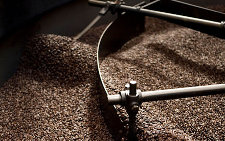 Freshly Roasted