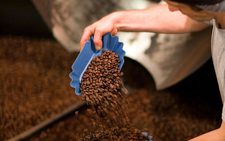 Small Batch