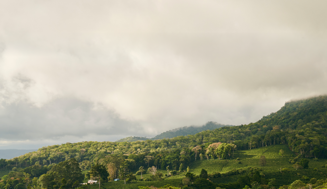 Lush green hills under a cloudy sky